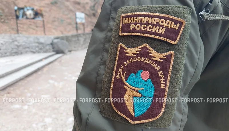 Популярные пешеходные тропы Ялтинского заповедника на несколько дней станут недоступны 