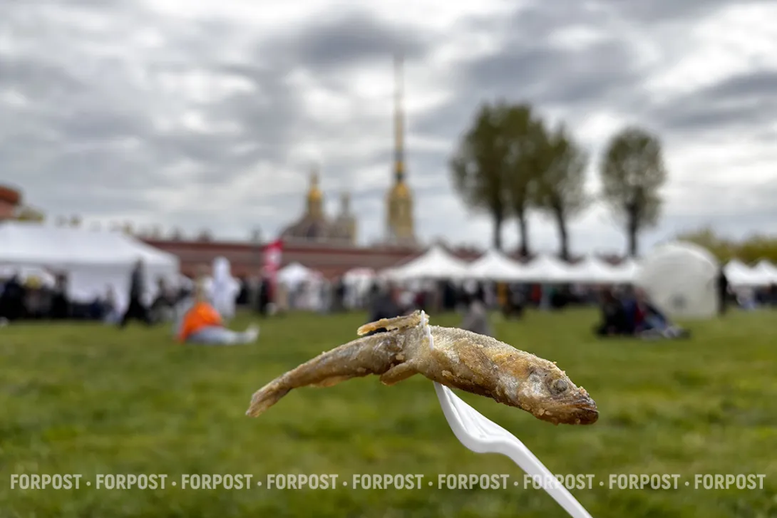 Почему в честь корюшки устраиваются ежегодные гуляния? 