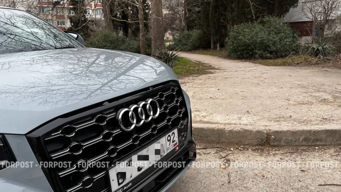 Россияне массово ринулись за Audi китайской сборки. В чём причина