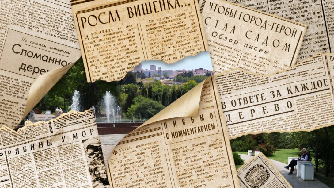Как севастопольцы своими силами превращали Севастополь в город скверов и садов