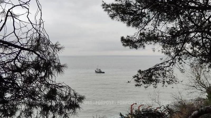 Что нельзя ловить в Чёрном море летом: в Крыму ввели сезонный запрет