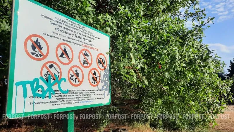 Почти 10 лет борьбы закончились победой для уникальной рощи у моря
