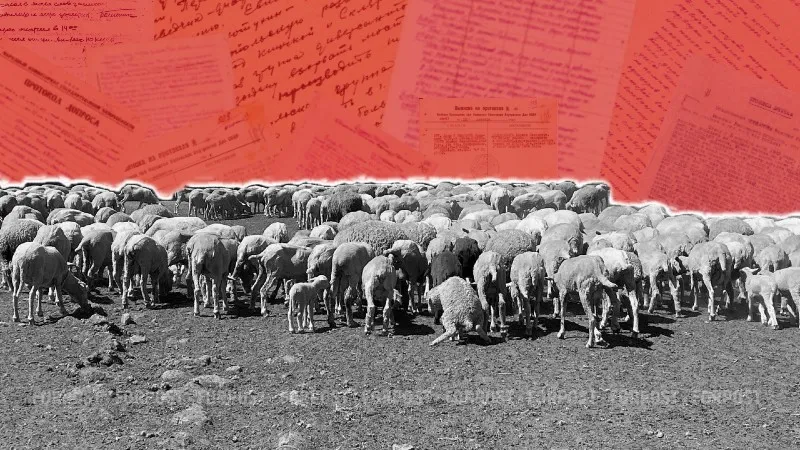 Рассекречено. Как нацисты готовили шпионов в Крыму под видом пастухов