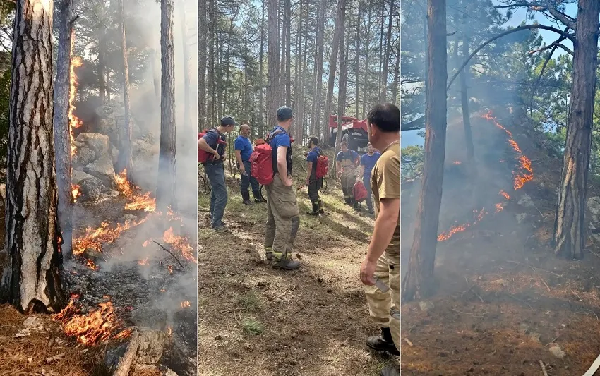 В Крыму горел Ялтинский горно-лесной заповедник