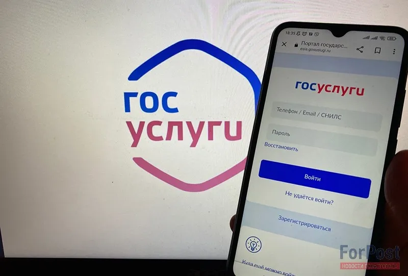Раскрыт масштабный план властей по развитию «Госуслуг»