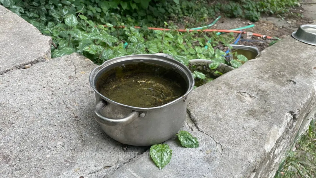 Дачники в Феодосии взбунтовались из-за очистки водохранилища