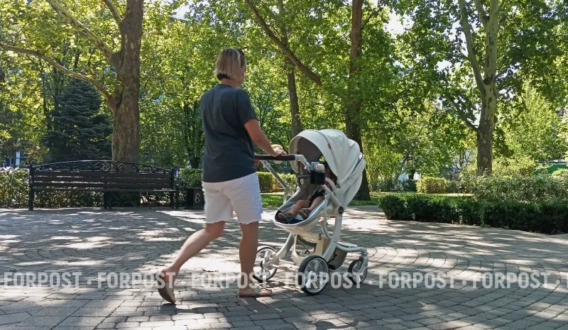 Бесплатное ЭКО для вдов участников СВО: решение острой проблемы или этическая ловушка?