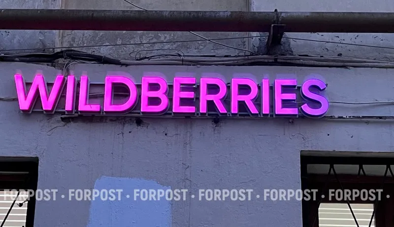 Почему в Казахстане и Киргизии тревожатся из-за ударов по Wildberries в России