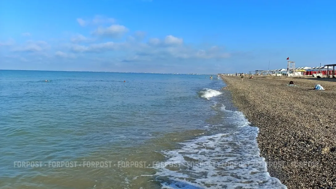 Он защищался: морской скат напал на туриста в Евпатории