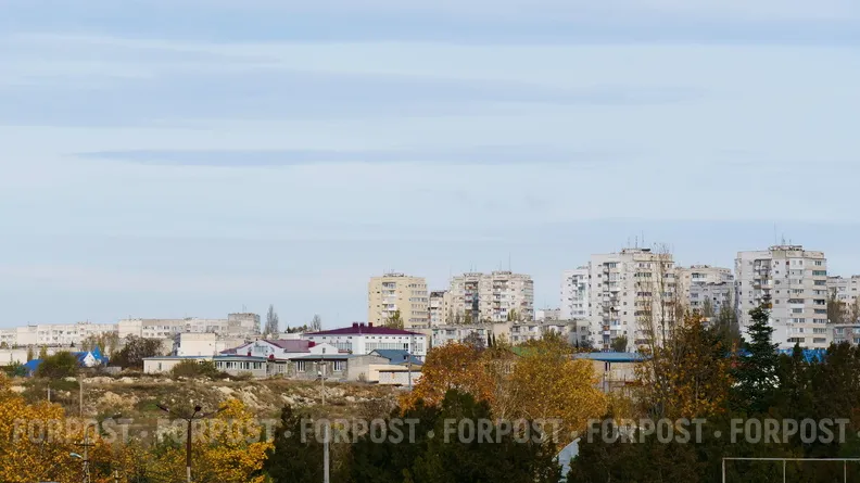 Крысы в подвале заставили прокуратуру вмешаться в работу УК в Севастополе