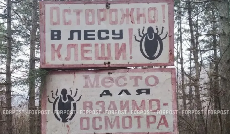 Крымчан и севастопольцев стали реже кусать клещи