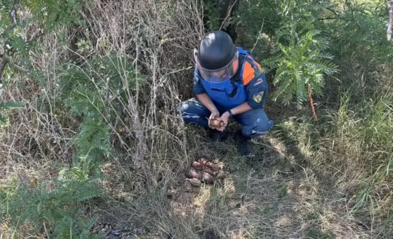 В Крыму обезвредили 200 взрывоопасных предметов