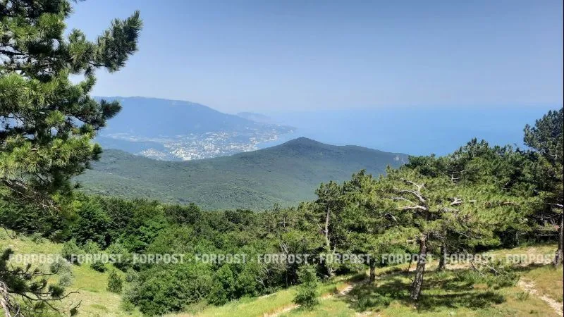 В Крыму обнаружили уникальный гриб 