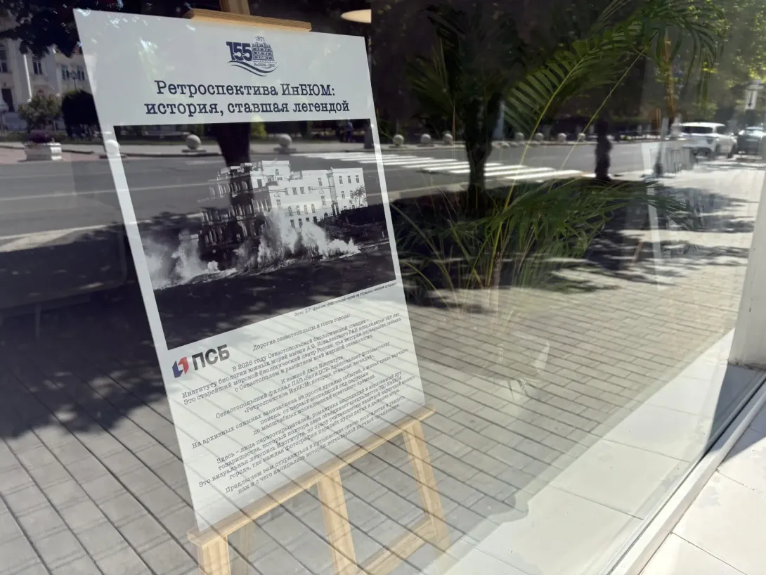 ПСБ представил новую фотовыставку к юбилею Института биологии южных морей