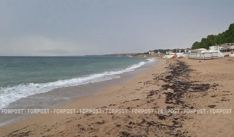 На пляжи Севастополя и Крыма море вынесло сгустки пальмового масла