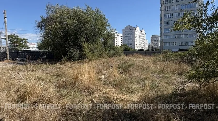 В Севастополе спасли деревья у парка Победы, пожертвовав парковкой