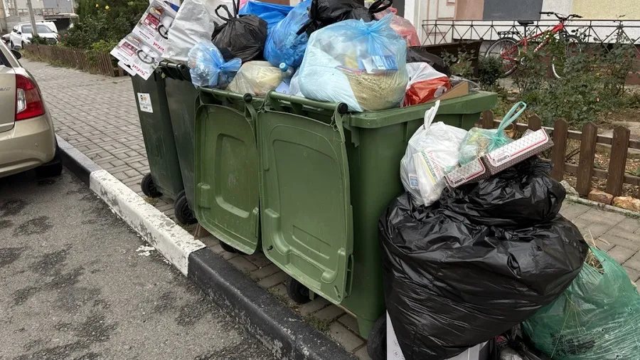 В Севастополе начались проблемы с вывозом мусора