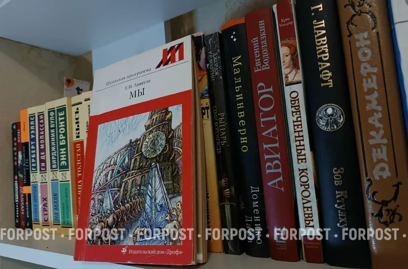 Миллионы рублей на утилизацию книг: к чему привели новые законы и цензура