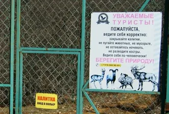 Резонанс. "Это бесплатный зоопарк", - охотник о заборе в районе Куш-Кая