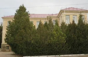 В детских поликлиниках Севастополя нет доступности и врачей