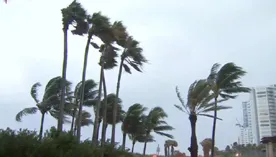 Ураганы в США: "Ирма" пришла уничтожить то, что не разрушил "Харви"