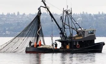 В Чёрном море запретили вылов удивительно ценной рыбы