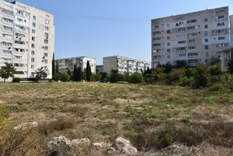 В Севастополе станет больше благоустроенных зеленых уголков