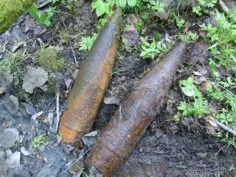 В Севастополе саперы МЧС нашли 148 боеприпасов времен войны