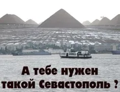 В Севастополе состоится общегородское собрание по вопросу организации местного референдума из-за угольного терминала