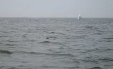 Рыбак уплыл в открытое море на матрасе