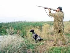 Высший хозяйственный суд подтвердил законность решения горсовета Севастополя о предоставлении в пользование охотничьих угодий