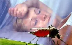 В Севастополе от малярии умер вернувшийся из загранплавания мужчина