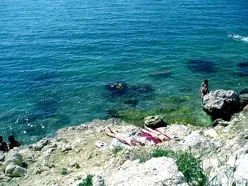 «Дикие» пляжи Севастополя хотят перевести в статус городских