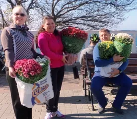 На Приморском за 2 дня «СевАгроСоюз» продал севастопольцам 3500 хризантем. У цветоводов впереди новые радужные планы!