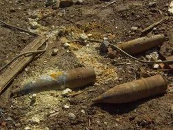 В Севастополе за неделю уничтожили более 8800 снарядов