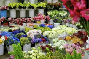 В Севастополе действовал незаконный цветочный рынок