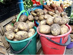 Рубанов и Кужман будут регулировать цены на картошку в Севастополе