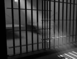 Прокуратура потребовала арестовать виновного в смерти посетителя бара в Севастополе