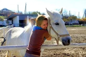 Друзья познаются в беде или история спасения одной лошади