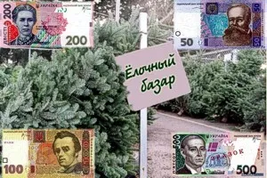 Севастопольцев обдирают на елочных базарах, продавая елки стоимостью 35 гривен по 100