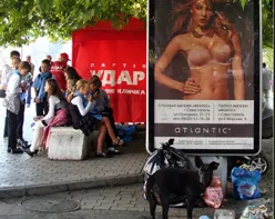 Непристойная реклама обжилась в Севастополе. Внедряем евровоспитание?