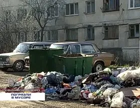 Жители Нахимовского района погрязли в мусоре. В антисанитарии люди обвиняют РЭП №2 и предприятие «Чистый город»