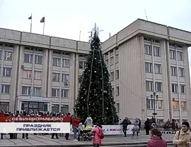 Во всех районах Севастополя открываются традиционные праздничные ёлки