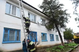 В Севастополе дерево упало на крышу дома