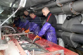 После крушения в Охотском море траулера "Дальний Восток" спасены 63 члена экипажа
