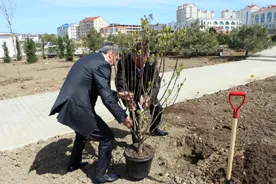 Губернатор Севастополя с Лебедевым озеленяют Парк Победы