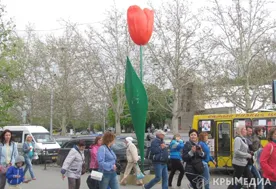В центре Севастополя накануне Дня Победы «зацвели» 7-метровые тюльпаны
