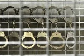 В Севастополе вдвое увеличилась раскрываемость преступлений