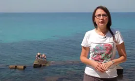 "Дежурный по Севастополю": доступ к морю - не привилегия для избранных!