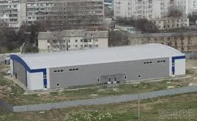 Ледовый дворец на Пожарова уплыл в частные руки